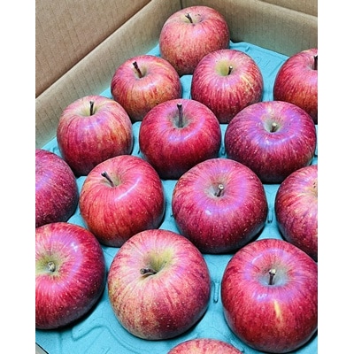 りんご(サンふじ)10kg　24～46個　ご家庭用　0065-2612