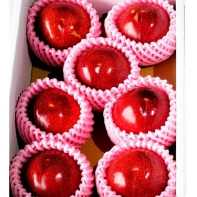 すもも(貴陽)1.2kg　ご家庭用　0012-2604