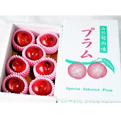 すもも(貴陽)1.2kg　ご家庭用　0012-2604