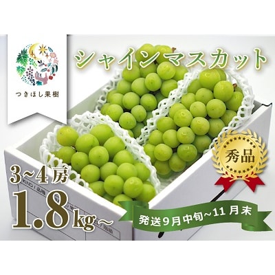 上山産シャインマスカット　1.8kg以上♪　0140-2609