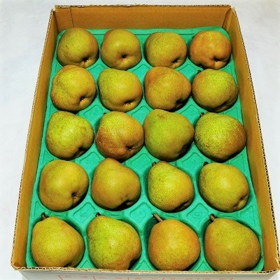 ラ・フランス　4.6kg　20玉　M・Lサイズ混合　ご家庭用　0012-2514