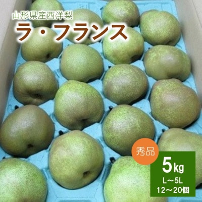 西洋梨(ラフランス)5kg　0110-2605