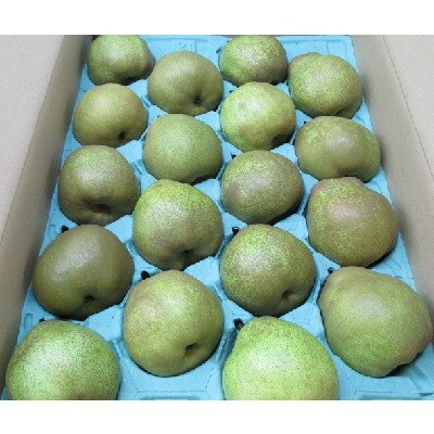 西洋梨(ラフランス)5kg　0110-2605