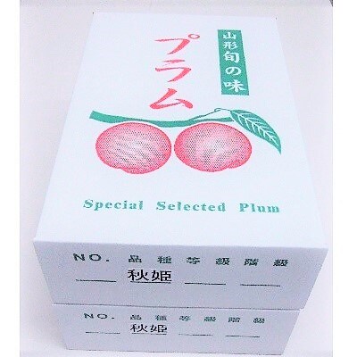 すもも(秋姫)2.4kg　0017-2607