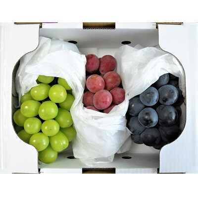 シャインマスカットと大粒ぶどうの詰合せ(品種おまかせ)2kg　0017-2609