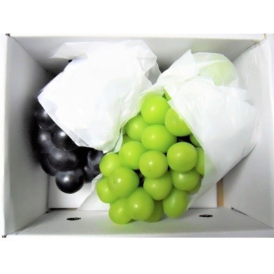 シャインマスカットと大粒ぶどうの詰合せ(品種おまかせ)1.3kg　0017-2608