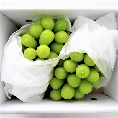 ぶどう(シャインマスカット)2房　合計1.3kg　0017-2611