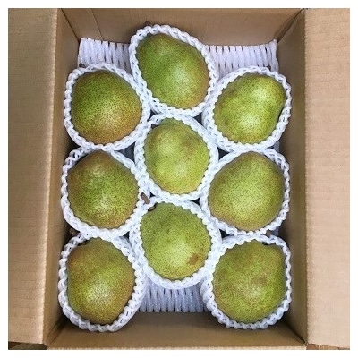 西洋梨(ラ・フランス)3kg　ご家庭用　0134-2501