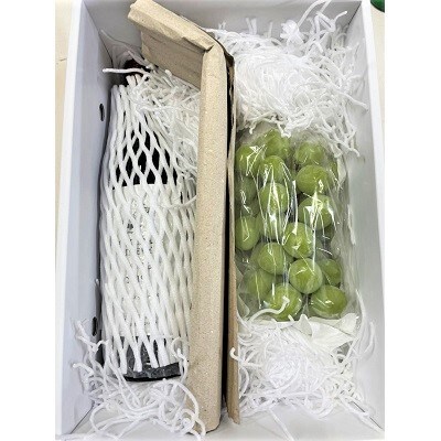 タケダワイナリールージュ(辛口)とシャインマスカットのセット　0141-2616