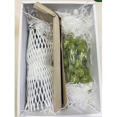 サントネージュかみのやまカベルネとシャインマスカットのセット　0141-2617