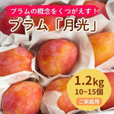 プラム(月光)1.2kg　ご家庭用　0075-2603