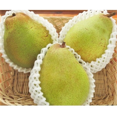 西洋梨(ドワイエンヌ・ドュ・コミス )3.3kg　ご家庭用　0075-2606