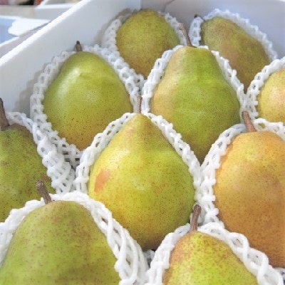 西洋梨(ドワイエンヌ・ドュ・コミス )3.3kg　ご家庭用　0075-2606