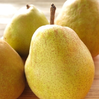 西洋梨(ドワイエンヌ・ドュ・コミス )3.3kg　ご家庭用　0075-2606