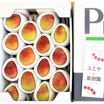 西洋梨(カリフォルニア)5kg　0047-2609