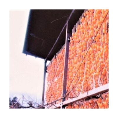 紅干し柿 10個 桐箱入り 0033-2211