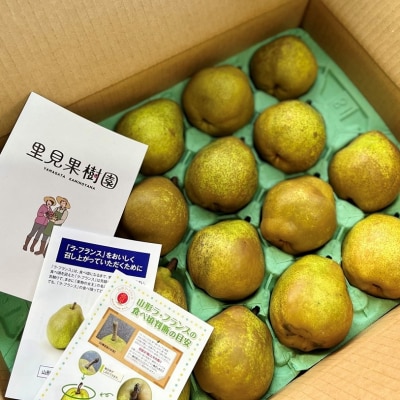西洋梨(ラ・フランス)5kg　16～20玉　0079-2516