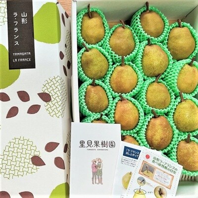 西洋梨(ラ・フランス)5kg　18～20玉　特秀品　0079-2620