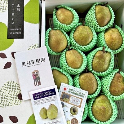 西洋梨(ラ・フランス)5kg　10～14玉　特秀品　0079-2622