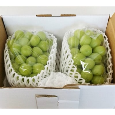 ぶどう(シャインマスカット)1.6kg　0009-2608