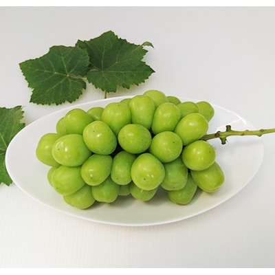 ぶどう(シャインマスカット)1.6kg　0009-2608