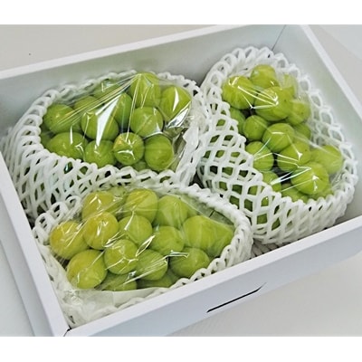 ぶどう(シャインマスカット)2kg　0009-2609