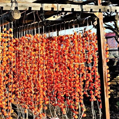 蔵王つるし柿　250g×6パック(S～Mサイズ)　0015-2607