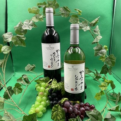 サントネージュかみのやま産葡萄　2本セット　0141-2610