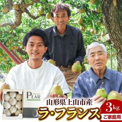 ラフランス 3kg ご家庭用 7玉~10玉 5L~2L 西洋梨 ラ・フランス 0078-2610