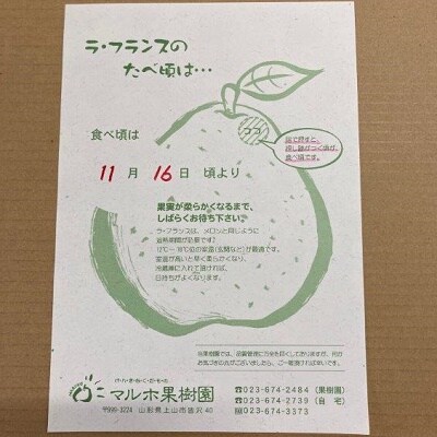 西洋梨(ラ・フランス)3kg　ご家庭用　0078-2602