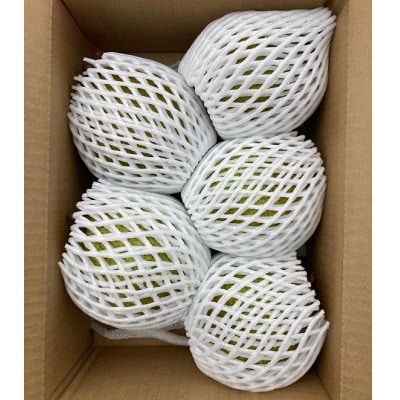 西洋梨(ラ・フランス)3kg　大玉　ご家庭用　0078-2503