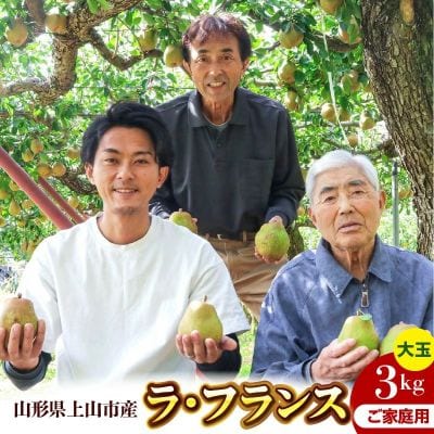 ラフランス 3kg 大玉 ご家庭用 5~6玉 7L~6L 西洋梨 ラ・フランス 0078-2611