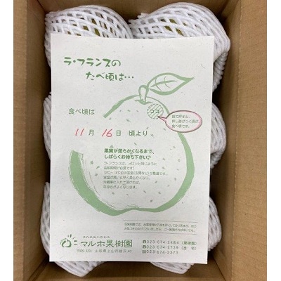 西洋梨(ラ・フランス)3kg　大玉　ご家庭用　0078-2603