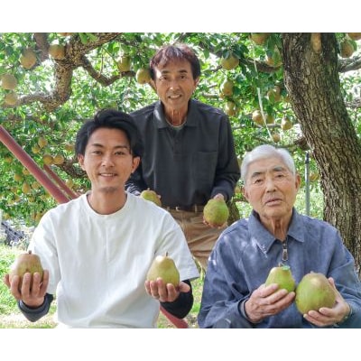 西洋梨(ラ・フランス)5kg　2L　0078-2605