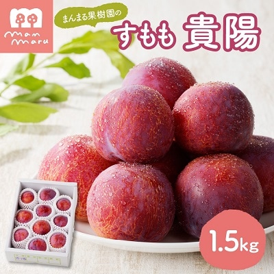 すもも(貴陽)1.5kg　0055-2607