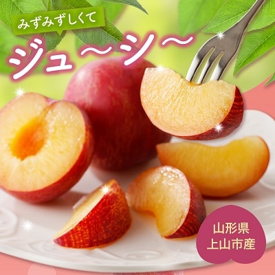 すもも(貴陽)1.5kg　0055-2607