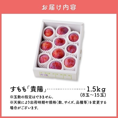 すもも(貴陽)1.5kg　0055-2607