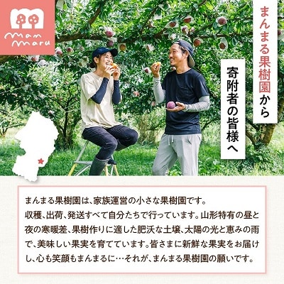 すもも(貴陽)1.5kg　0055-2607