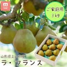 西洋梨(ラ・フランス)3kg　ご家庭用　0055-2513