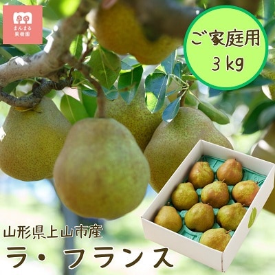 ラフランス 3kg ご家庭用 6玉~12玉 6L~2L 西洋梨 ラ・フランス 0055-2609