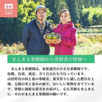 西洋梨(ラ・フランス)3kg　ご家庭用　0055-2609