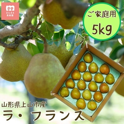 西洋梨(ラ・フランス)5kg　ご家庭用　0055-2515