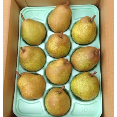 西洋梨(ラ・フランス)3kg　0007-2501