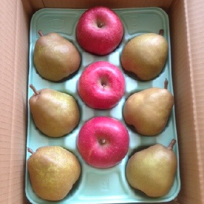 りんごとラ・フランス詰合せ　3kg　特秀品　贈答用　0007-2602