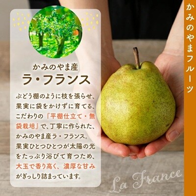 りんごとラ・フランス詰合せ　3kg　特秀品　贈答用　0007-2602