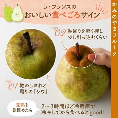 りんごとラ・フランス詰合せ　3kg　特秀品　贈答用　0007-2602