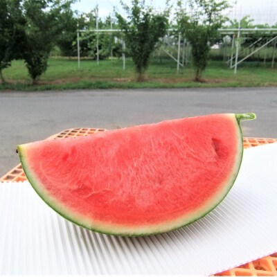 大玉すいか1個　7～9kg　0030-2321
