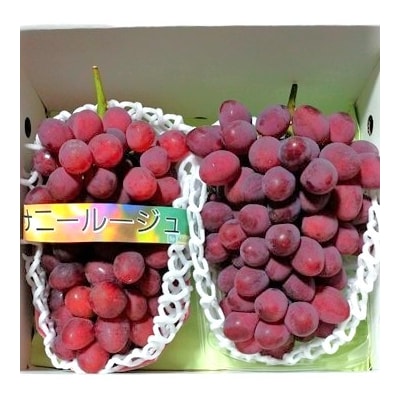 ぶどう(サニールージュ)1.3kg　0142-2603