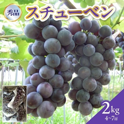 ぶどう(スチューベン)2kg　0142-2606