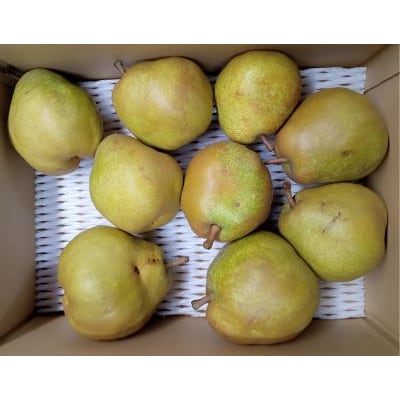 西洋梨(ラ・フランス)3.5kg　ご家庭用　0142-2611